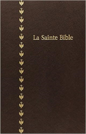 La sainte bible : nouvelle version segond révisée